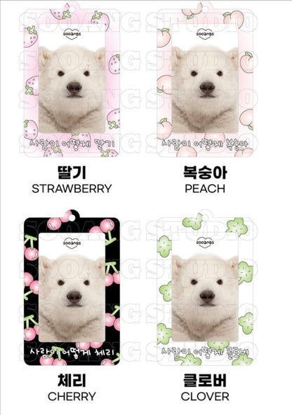 [PREORDER] HOW PHOTOCARD HOLDER